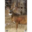 Birchwood Casey Pregame Targets Deer 16.5"x24" 3/ct - Birchwood-Casey