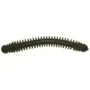 Lake Fork 4'' Ring-Fry Green Pumpkin 10pk - Lake-Fork-Trophy-Lures