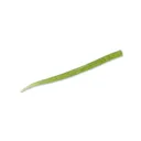 Yamamoto 5'' Pro-Senko Baby Bass 10pk - Gary-Yamamoto-Lures