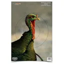Birchwood Casey Pregame Turkey Paper Targets 12"x18" 8/ct - Birchwood-Casey