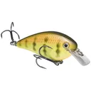 Strike King KVD Square Bill 1.5 Crankbait 2-1/4" 3/8 oz Chart Perch - Strike-King-Lures