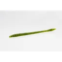 Zoom Trick Worm 6.5'' Kudzu 20pk - Zoom-Baits