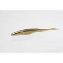 Zoom Mag Super Fluke 7'' Arkansas Shiner 5pk - Zoom-Baits