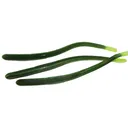 Roboworm 4.5'' Straight Tail Mean Green 10pk - Roboworm-Baits