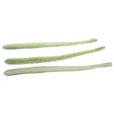 Roboworm 4.5'' Straight Tail SXE Shad 10pk - Roboworm-Baits