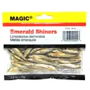 Magic Preserved Shiner Minn. 1.5oz Small Natural - Magic-Bait