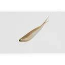 Zoom Tiny Fluke 3'' Arkansas Shiner 20pk - Zoom-Baits
