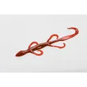 Zoom Lizard 6'' Tomato Seed 9pk - Zoom-Baits