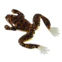 Creme 1 1/2'' Livin' Frog Brown - Creme-Lures