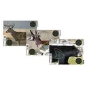 Champion Visicolor Real Life Target - Big Game - Champion Target