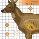 Champion X-Ray Paper Target - Deer Target 25"x25" (6-Pack) - Champion