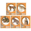 Champion Critter Series Targets - 11" X 14", 10/Pack - Champion