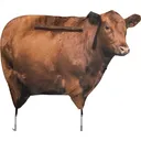 Montana Decoy Co Big Red Moo Cow Decoy - Montana-Decoy-Co