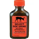 Wildlife Research Select Doe Urine Lure For Non-Rut Hunting 1 FL OZ - Wildlife-Research-Center