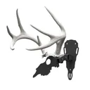 Hunters Specialties Antler Shed Mount - Hunters-Specialties
