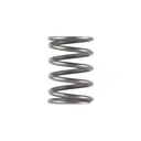 Dead Air Piston Spring for Ghost Odessa and Mojave 9 - Dead-Air-Silencers