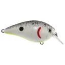 Strike King KVD Square Bill 1.5 Crankbait 2-1/4" 3/8 oz Pearl Splatterbk Chart Belly - Strike-King-Lures