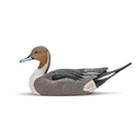 Rig'Em Right Mainline Series Pintail Duck Decoy 6/ct - Rig-Em-Right