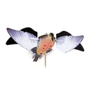 Avian-X Powerflight Replacement Wings Dove WINGS ONLY - Avian-X