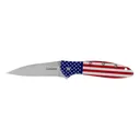 Kershaw Leek Folding Knife 3" Drop Point Blade USA Flag - Kershaw