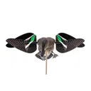 Avian-X Powerflight Replacement Wings Teal WINGS ONLY - Avian-X