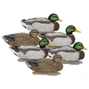 Higdon Legacy Magnum Mallard 6/ct - Higdon-Outdoors