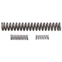 Wolff Gunsprings Reduced Power Tune Up Pak for Ruger 10/22 Rifle - Wolff Gunsprings
