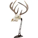ALLEN EZ MOUNT CENTER SKULL STAND - Allen