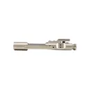 NBS .223/5.56/300 BLK Complete Bolt Carrier Group - Nickel Boron - w/o Logo - Dirty Bird Industries