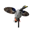 Mojo Outdoors HW2520 Mojo Mallard Elite Mallards Species Multi Color Plastic - Hunt Wise
