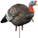 Higdon Outdoors 63144 Hard Body 1/4 Strut Jake Turkey Jake Species Multi Color - Higdon Decoys