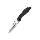 Spyderco BY03GP2 Cara Cara 2 - Spyderco