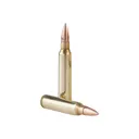 TR&Z PPU Range Master 5.56x45mm NATO 125 Rounds 55 gr Full Metal Jacket Boat Tail Brass Case - Prvi Partizan