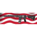 Radical Firearms Trump Commemorative Edition AR-15 Rifle 5.56 Nato,16\" BBl, RPR M-Lok Rail, B5 Stock & Grip, 30 Rd Mag, Black, FR16-5.56SOC-15RPR-TRUMP - Radical Firearms