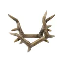 Flextone FLX-FLXDR064 Battle Bones - Avian-X