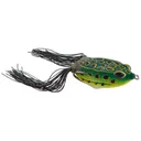 Berkley Swamp Lord Frog Spring Frog - Berkley