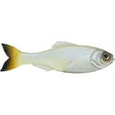 6th Sense Panorama 2.8" Jerkbait Pro Blue - 6Th Sense