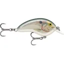 Rapala Ott's Garage (OG) Tiny 4 Crankbait Shad - Rapala