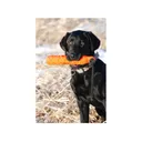 Avery 2" HexaBumper Dog Training Dummy Orange - Avery Sporting Dog