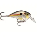 Rapala DT 4 Crankbait Shad - Rapala