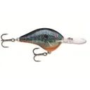 Rapala DT 16 Crankbait Live Pumpkinseed - Rapala