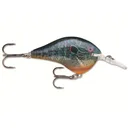 Rapala DT 6 Crankbait Live Pumpkinseed - Rapala