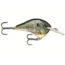 Rapala DT 6 Crankbait Live Bluegill - Rapala