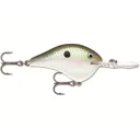 Rapala DT 14 Crankbait Green Gizzard Shad - Rapala