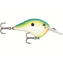 Rapala DT 6 Crankbait Citrus Shad - Rapala