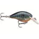 Rapala DT 4 Crankbait Live Pumpkinseed - Rapala