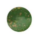Do-it Molds Pro-Tec Powder Lure Paint Melon Copper 2 oz - Do-It Molds