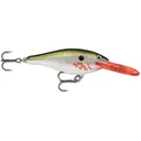 Rapala Shad Rap 07 Crankbait Bleeding Olive Flash - Rapala
