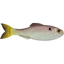 6th Sense Panorama 5" Jerkbait Ghost Pro Shad - 6Th Sense