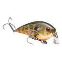Strike King KVD Shallow Square Bill 1.5 Crankbait Natural Bream - Strike King